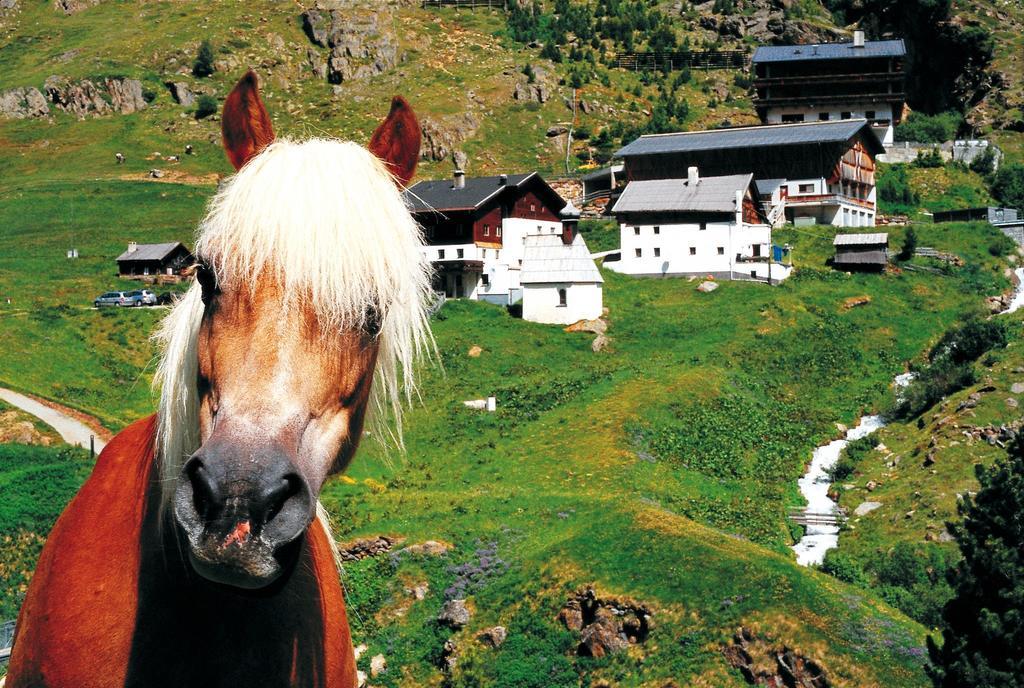 Gasthof Geierwallihof Vent Zewnętrze zdjęcie